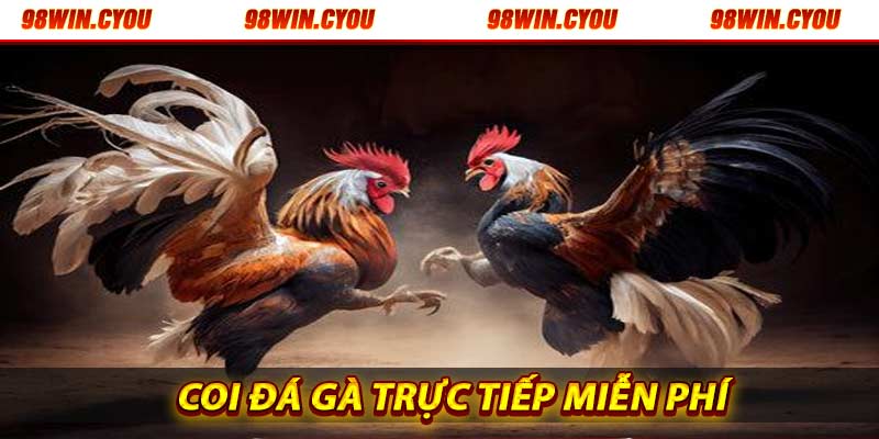 Coi đá gà trực tiếp miễn phí mọi nơi