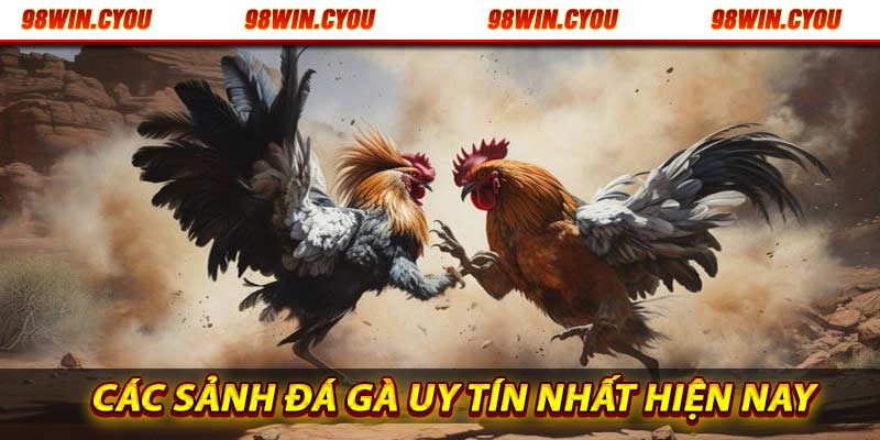 98win liên kết với các sàn đá gà lớn nhất hiện nay